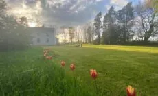 Cosy farmhouse in the heart of Roscommon