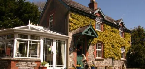 Druid Cottage