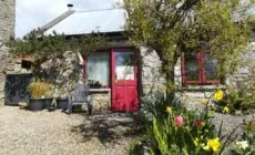 Druid cottage