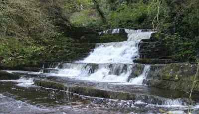 Dunneill River Rest
