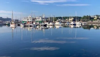 Harbour View