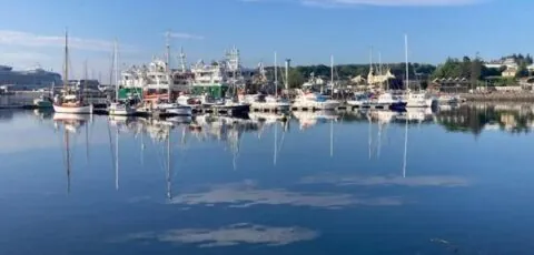 Harbour View