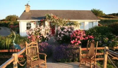 Herons Cove Cottage