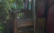 Little Green Carraige
