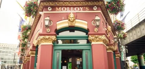 Molloys Apartments