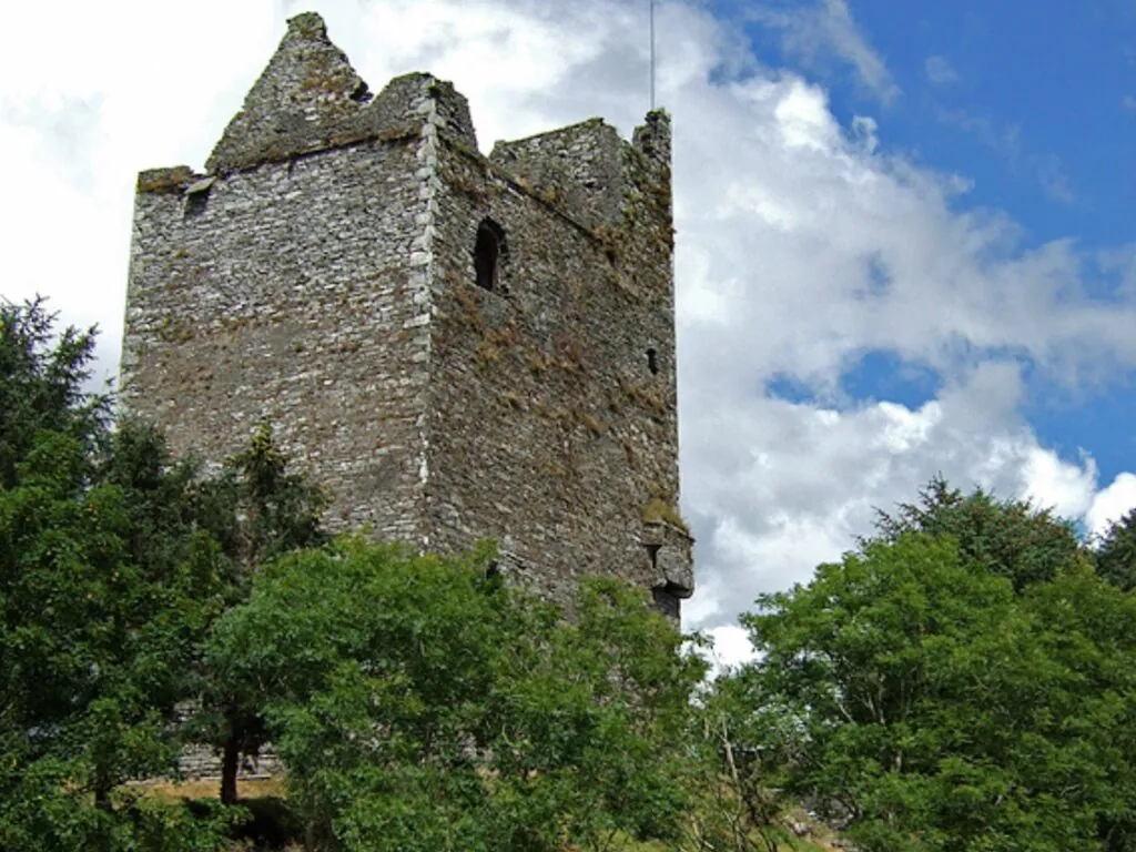 Ballinacarriga Castle - Mike Searle - cc