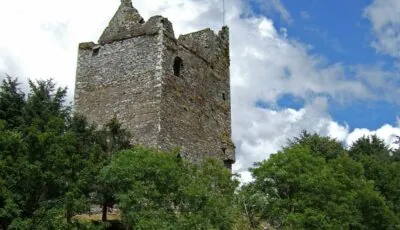 Ballinacarriga Castle - Mike Searle - cc