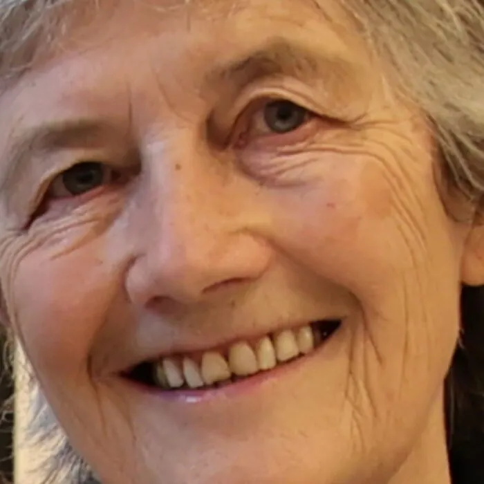 Catherine Connolly, nouvelle présidente de la République d'Irlande - Houses of the Oireachtas