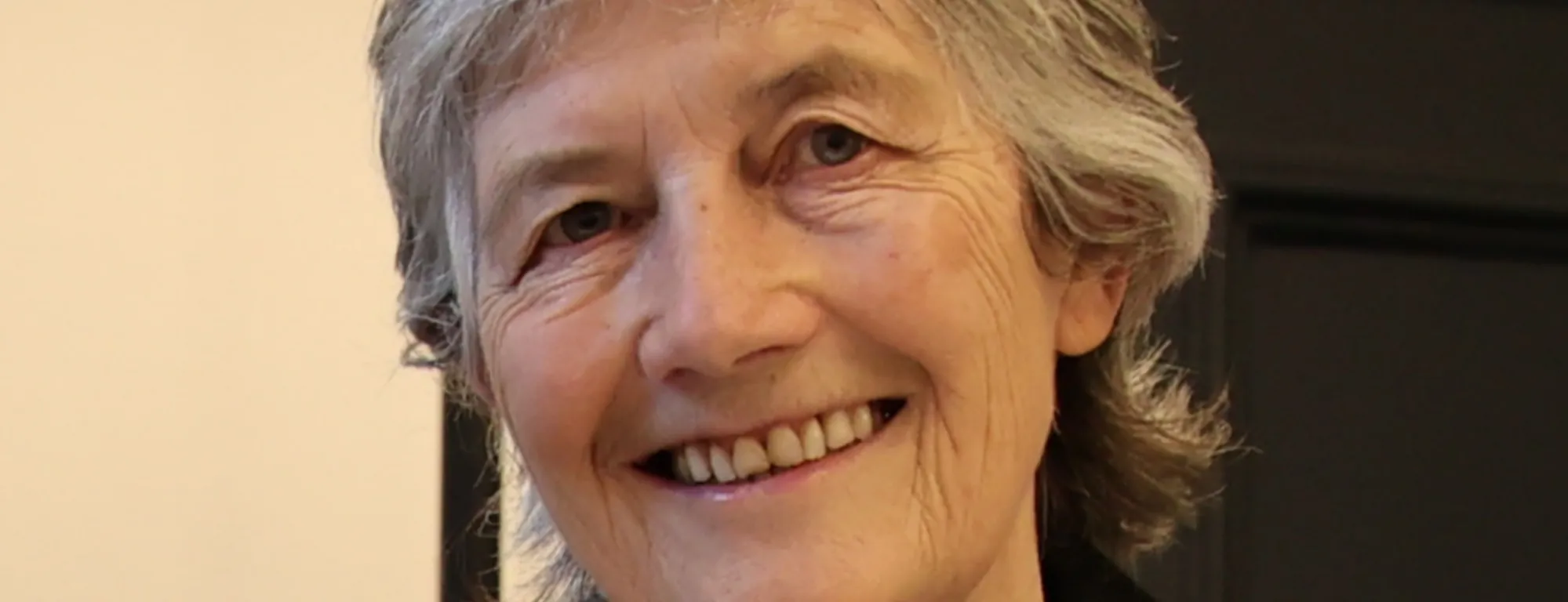 Catherine Connolly, nouvelle présidente de la République d'Irlande - Houses of the Oireachtas