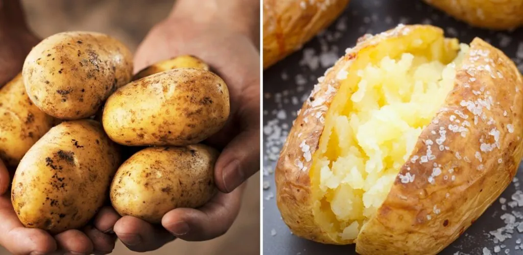 Le top 10 des ingrédients indispensables pour un repas de Noël irlandais 3 Des pommes de terres irlandaises - Canva Pro