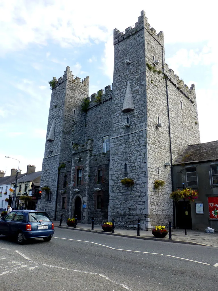 Des vestiges vieux de 800 ans découverts sous un château irlandais