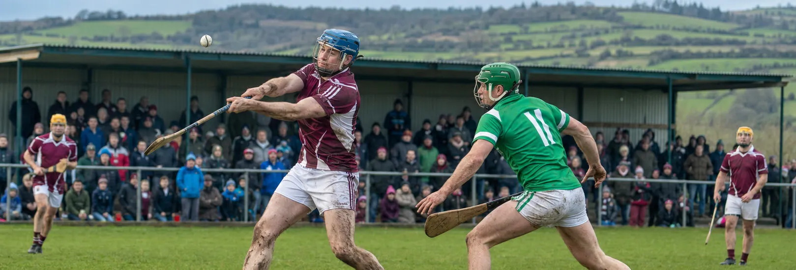 Sports gaéliques irlandais