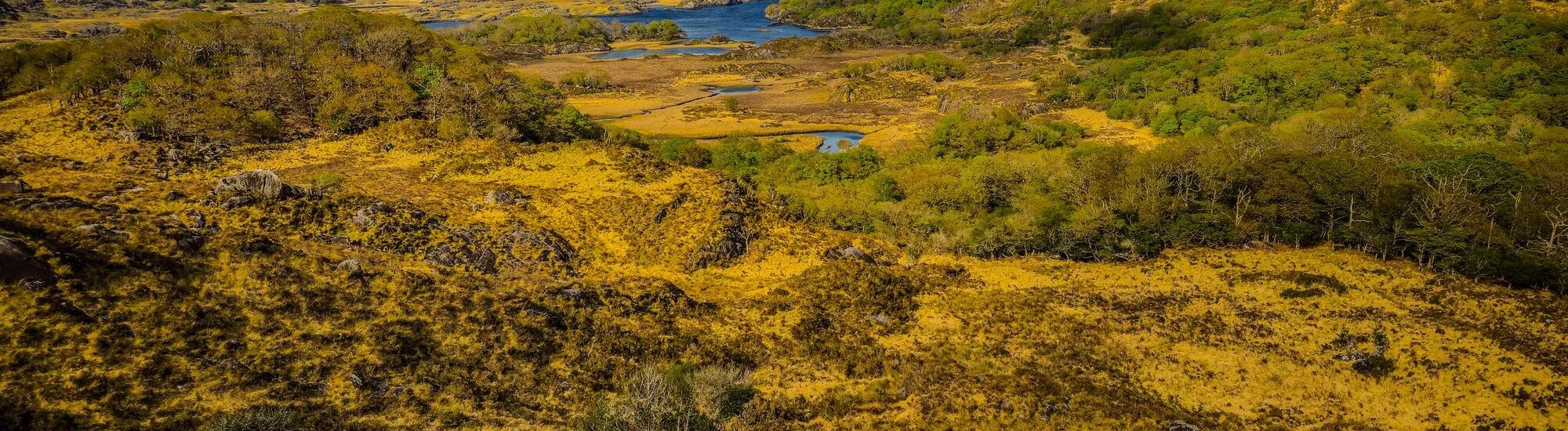 Les plus belles randonnées du parc de Killarney