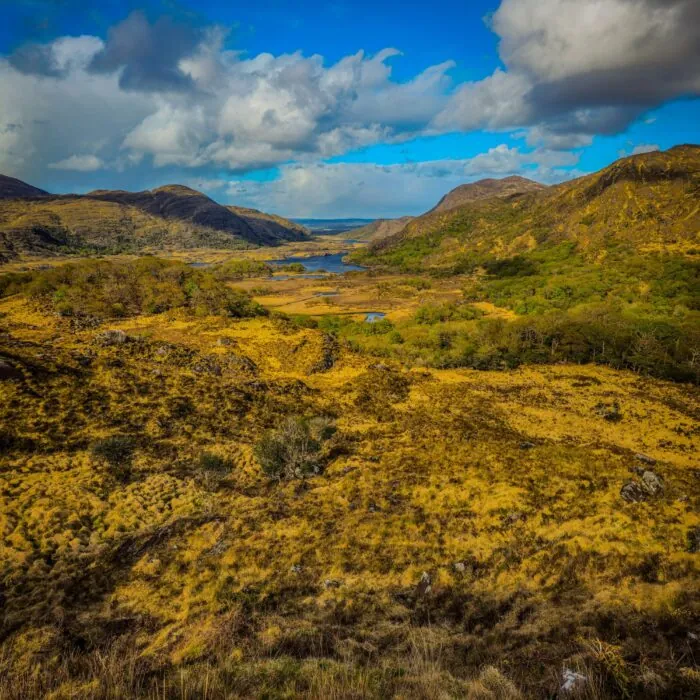 Killarney National Park - Oleksandr Kobuta Oleksandr Kobuta - Pexels
