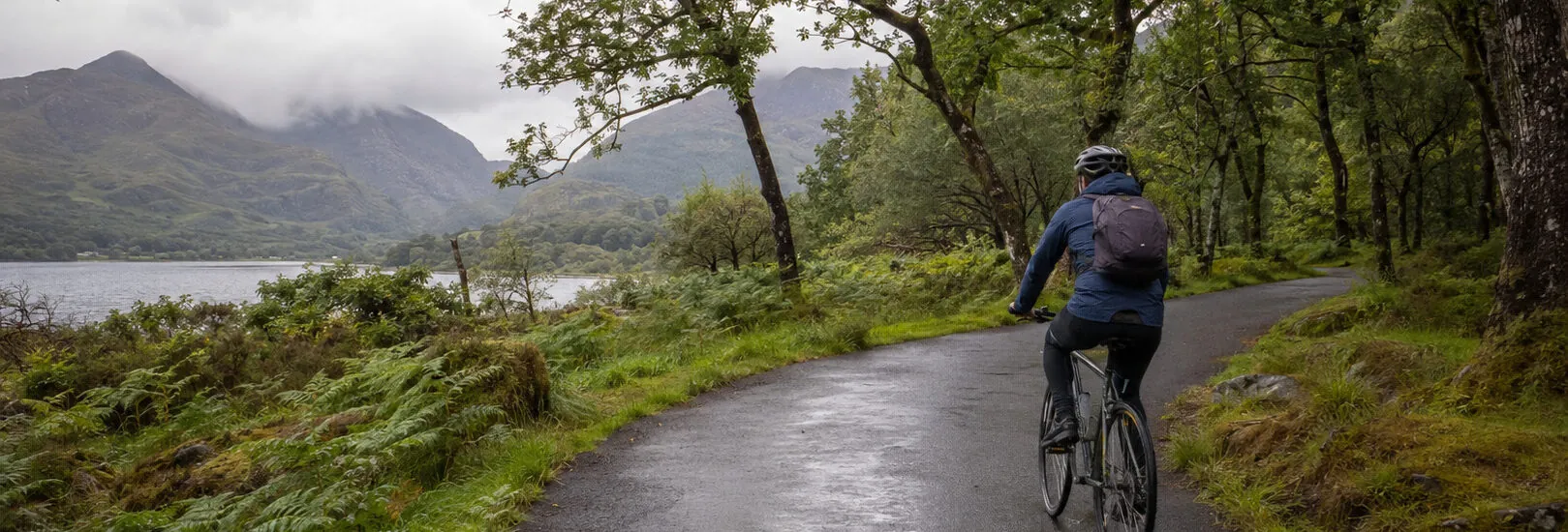 Explorer le parc national de Killarney à vélo