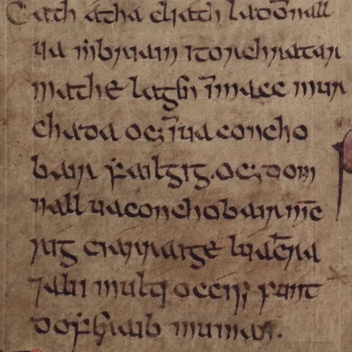 Annales d'Inisfallen, folio 34r – Bodleian Libraries, University of Oxford / Wikimedia Commons – Domaine public