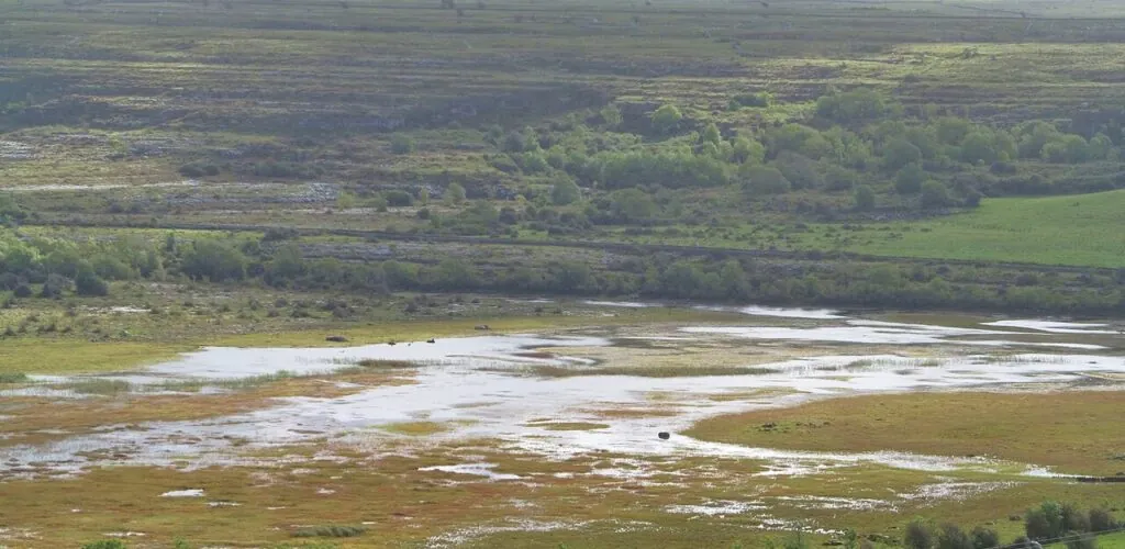 carran turlough carron polje