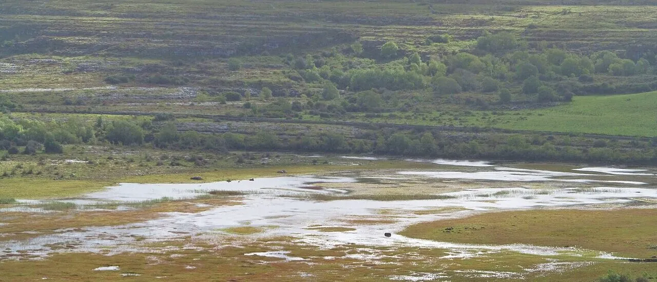 Carran Turlough / Carron Polje