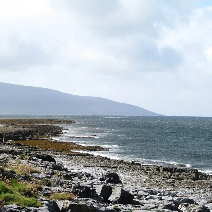 Flaggy Shore sur la côte du Burren dans le comté de Clare
