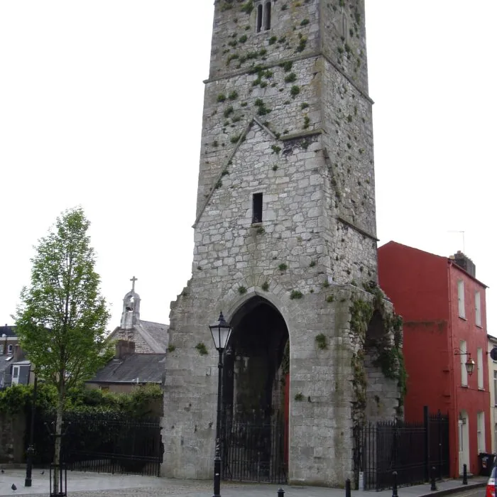 Red Abbey 10 Tour médiévale de Red Abbey à Cork
