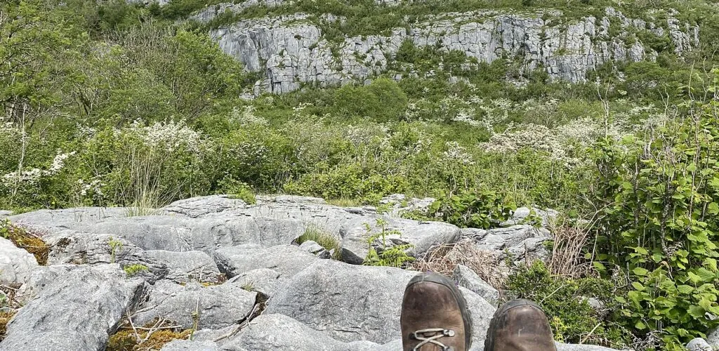 slieve carran nature reserve eagles rock