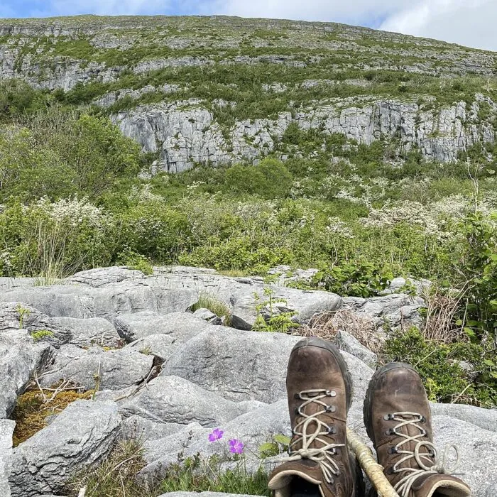 Eagle’s Rock dans la réserve naturelle de Slieve Carran, dans le Burren en Irlande