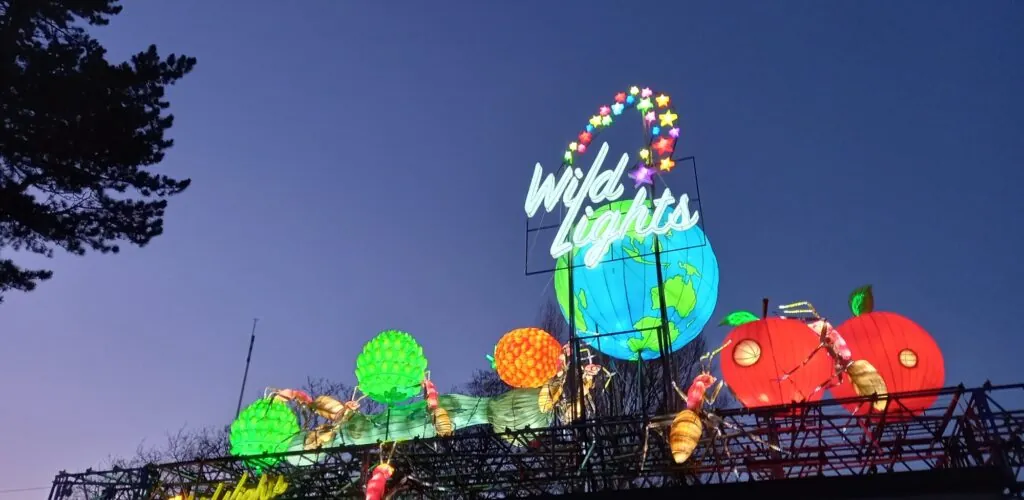 Dublin Zoo dévoile neuf mondes lumineux pour Wild Lights 2026